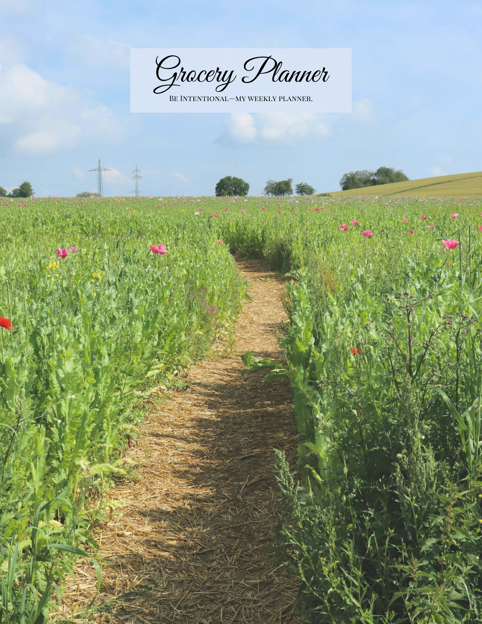 healing wellness shop, self-help books, self-help journals