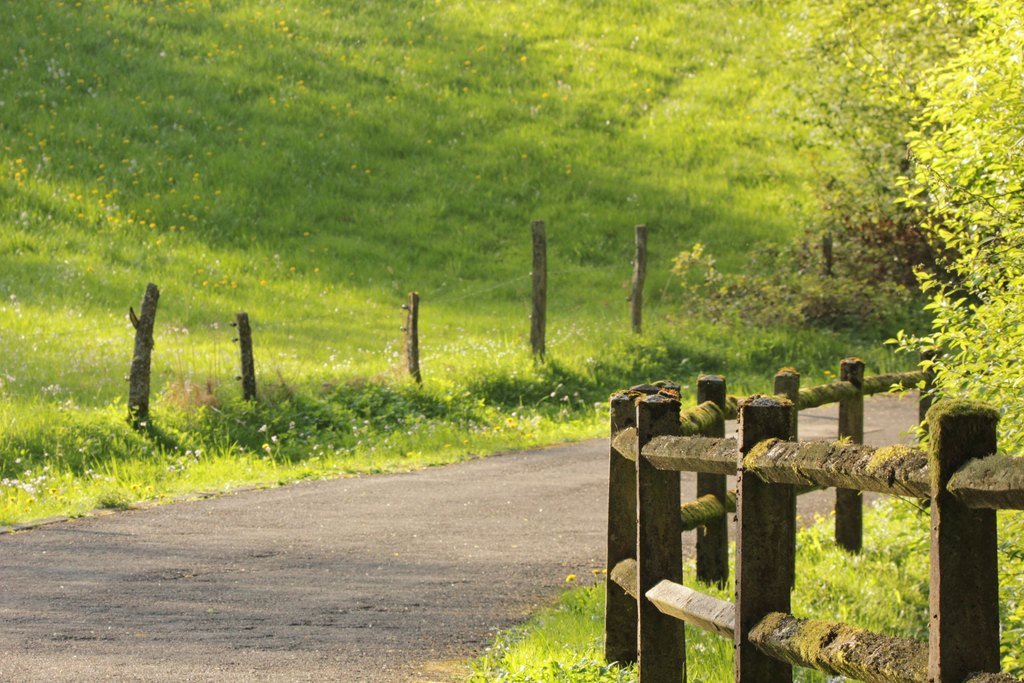 boundaries, live well, wellness